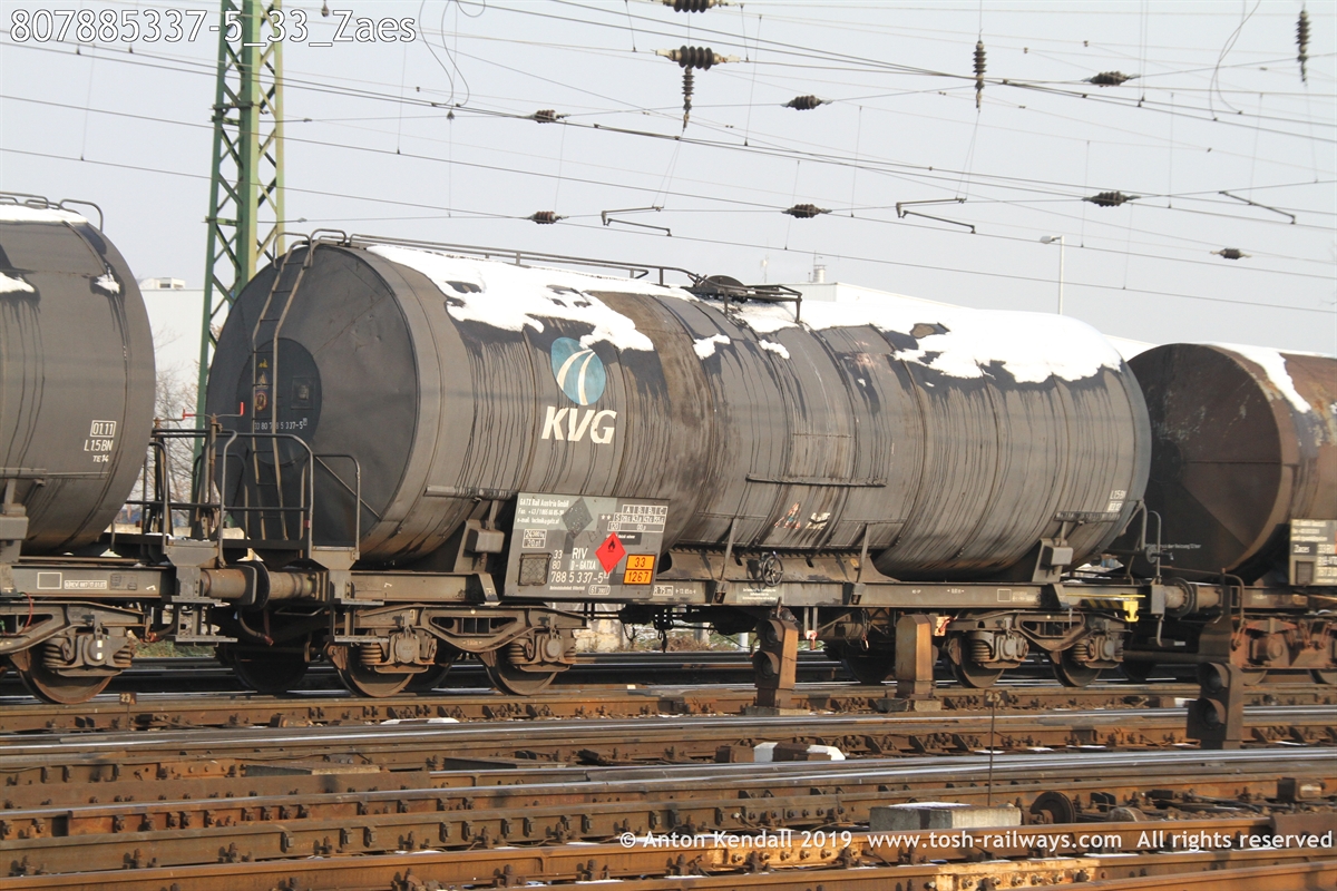 807885337-5_33_Zaes.JPG